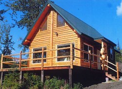 Award-winning stick-built cabin built by Harry Lippert and his Wood-Mizer LT40 Hydraulic sawmill.