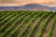What’s New for 2014 in Temecula Valley Southern California Wine...