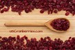 U.S. Dried Cranberries Are Added to the USDA's Foods Available...