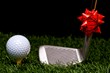 Top Golf Gifts for All Playing Abilities: Ultimate Golf Advantage...