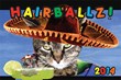 Hairball Designz Unleashes Calendar and Card Line on Unsuspecting...