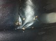 Bed Bugs Confirmed in Indianapolis High School, My Cleaning Products...