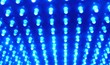 LED Grow Lighting USA Builds Content Related To Hydroponics and Indoor...