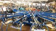 AMPRO Expands Screen-printing Production Capabilities with Equipment...