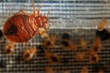 Bed Bugs Return to Orlando Fire Station, My Cleaning Products Suggests...