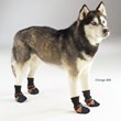 Furry Travelers Releases Top 10 Dog Gifts this Christmas