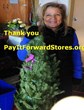Christmas Trees and 1 Million Equity Shares Donated by Pay It Forward...