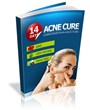 14 Days Acne Cure Review | How This Book Helps People Get Rid Of Acne...