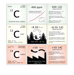 Carbon Cycle Explained