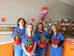 Dr. Cobb's West Union Staff