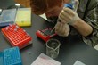 Wellesley Education Foundation (WEF) Launches Its Newest Campaign, The...