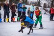BringFido.com Announces Top Dog Events of 2014