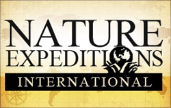 Nature Expeditions International | Luxury Travel | Custom Adventure