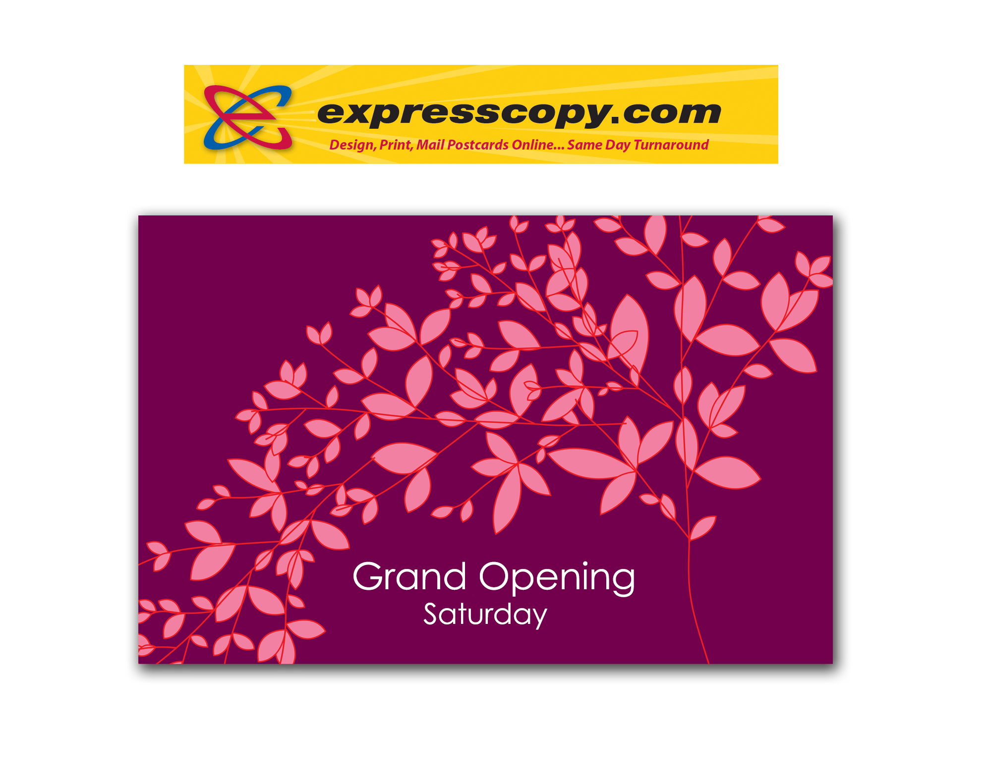 same-day-postcard-mailing-campaigns-help-make-grand-opening-a-huge-success