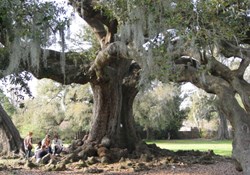 Audubon Park