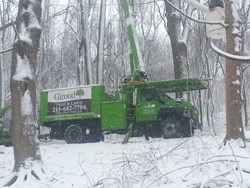 Tree Damage Can Be Prevented With Cabling: A Giroud Tree and Lawn crew works to remove a giant tree that split and crashed across a driveway during a snowstorm.