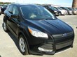 2014 Ford Escapes are Available in Abundance at Preston Ford