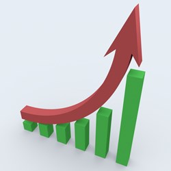Business growth in 2014