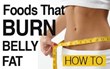 The Truth about Fat Burning Foods e-Book Review by Rakuyaz