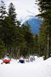 The Lincoln Woodstock Chamber of Commerce Invites Families to Explore...