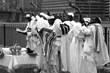 The Anne Frank Center USA is Announcing the Opening Reception of Faith...