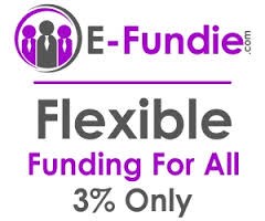 E-Fundie Logo Banner
