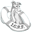 Italian Greyhound Rescue Foundation (IGRF) Selects Cause Rx's...