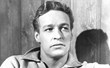 Russell Johnson, "The Professor" on Gilligan's Island,...