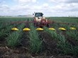 EurekaMag.com Publishes 75,518 New Articles on Herbicide Application