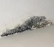 Mold Forces Relocation of Fulton County Purchasing Department...