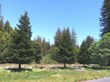 From Big Basin Redwoods State Park to Little Basin; 150 Years of...
