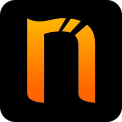 Netsparker Logo