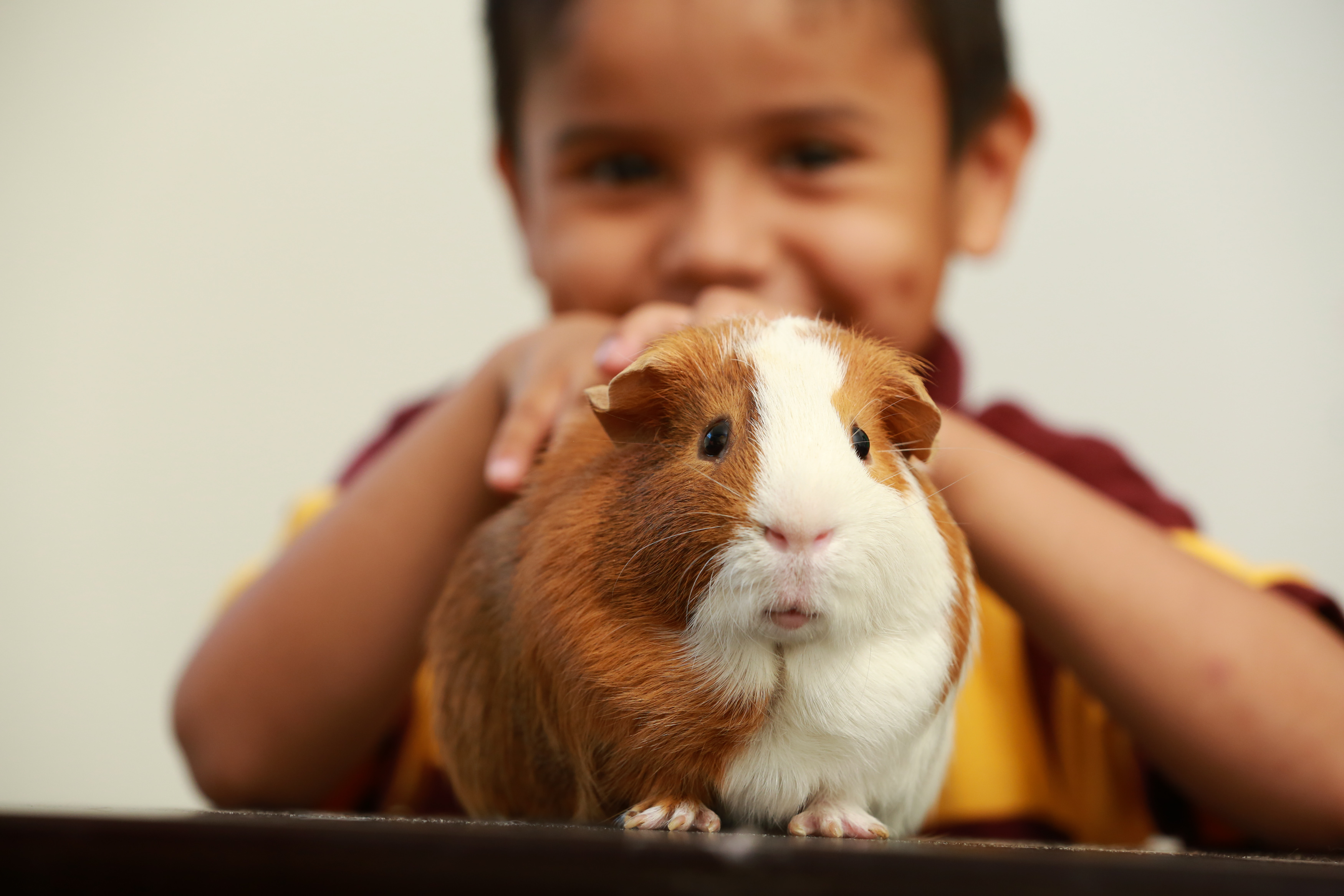 pet-care-trust-offers-cure-to-2nd-semester-boredom-through-classroom-pets