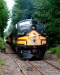All Aboard for Romance at the Mt. Rainier Scenic Railroad