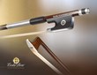 Lisle Violin Shop Announces New Custom Coda Diamond SX Carbon Fiber...