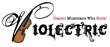 Strings Sensation "Violectric" Celebrate the Exciting...