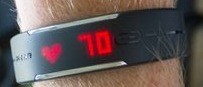 polar loop, loop, polar loop activity band, polar loop band, buy polar loop, buy loop, buy polar loop activity band, buy polar loop band, best price polar loop, best price loop, best price polar loop activity band, best price polar loop band, polar loop r