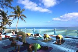 Introduction to Meditation Workshop