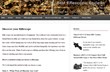 The Popular Bestriflescopereview.net Unveils New and Expanded Website