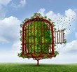 OYea2.com Announces 2nd Original Video Post: Vimeo, Screencast and...