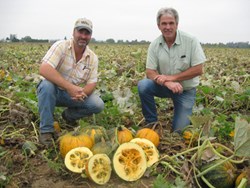 Living Tree Community Foods Organic Pumpkin Seed Oil is made from Oregon pumpkins.