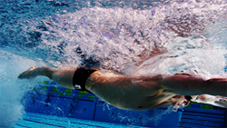 butterfly swimming