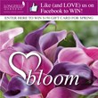 Blooming Love: $150 Valentine’s Day Giveaway for Flower Bulbs from...