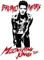 Bruno Mars Hollywood Bowl