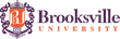 Online Education Modernized through Brooksville University’s Advanced...
