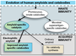 Fight Aging — Extracellular Aggregates Little Protein Clumps Called...
