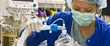 UCI Anesthesiology Faculty Receive Fellowships from UC Center for...