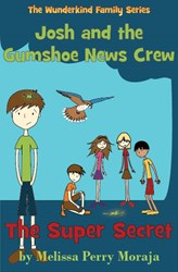 Josh and the Gumshoe News Crew: The Super Secret