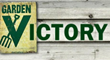 Victory Garden Connection Launches New Website for Community Garden...