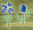 Top Phoenix Naturopathic Doctor at Phoenix Integrative Medicine Now...